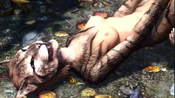 Skyrim Immersive Porno Sequence 3